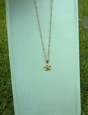 Seestern - Halskette