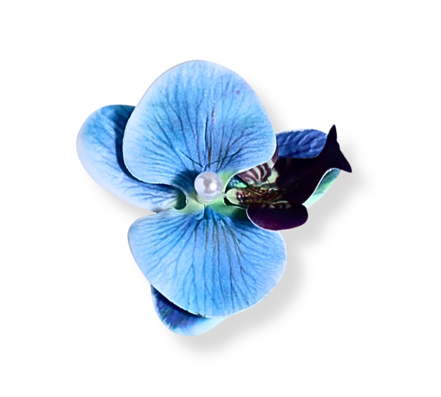 1928344D-73F6-4FB0-BE16-1F8ACA49F84A.png
