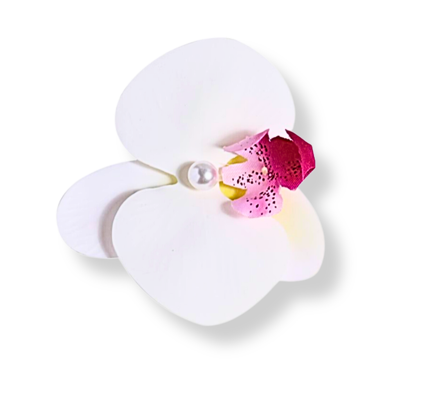 4334A09F-4ABB-40FB-A816-F50A2EE653C0.png
