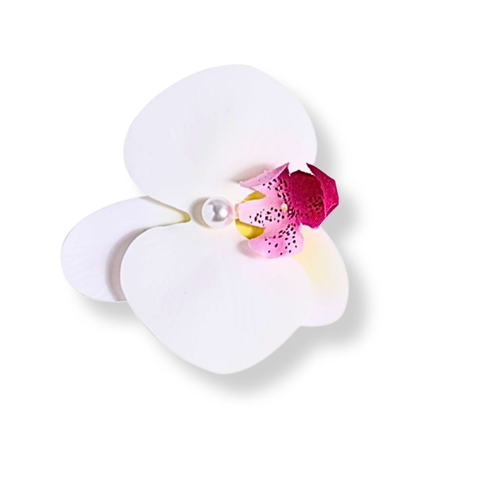 4334A09F-4ABB-40FB-A816-F50A2EE653C0.png