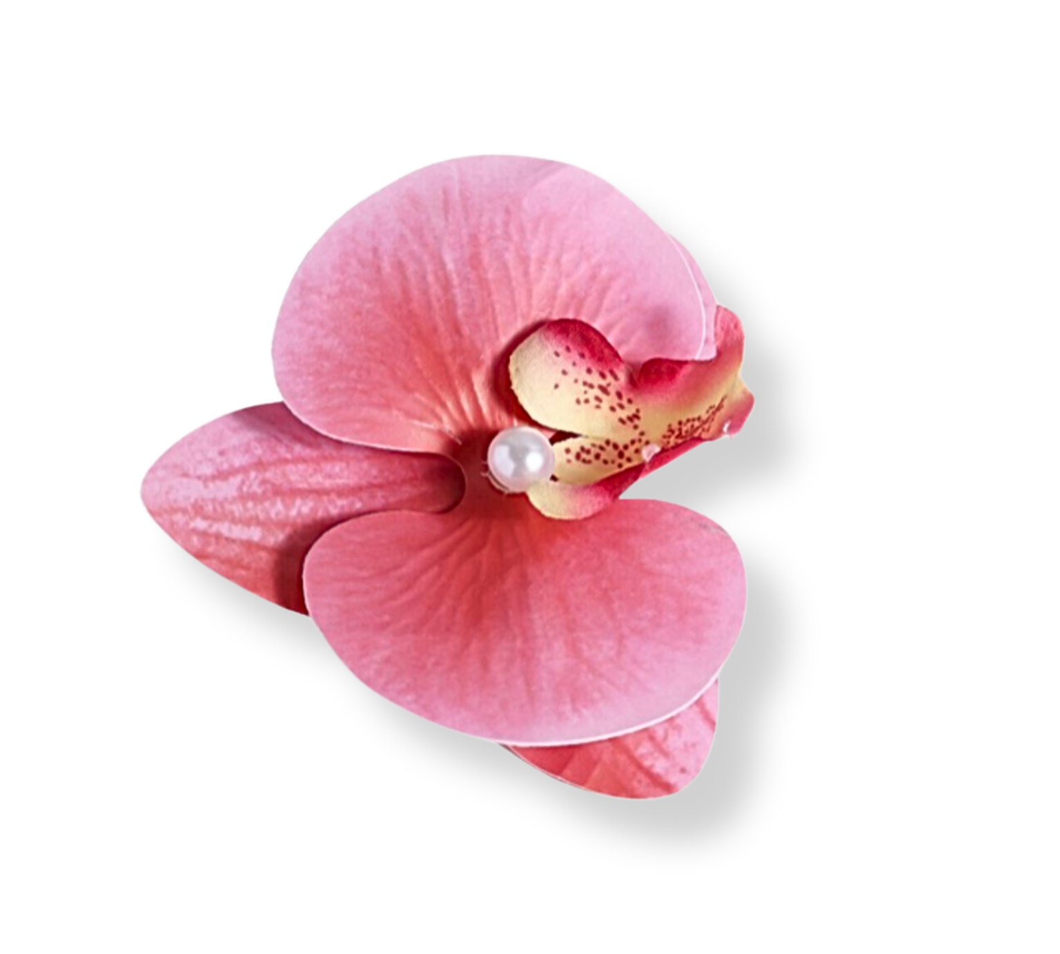 AEA2E08C-81AD-4EF9-AE4A-A4D184E87536.png