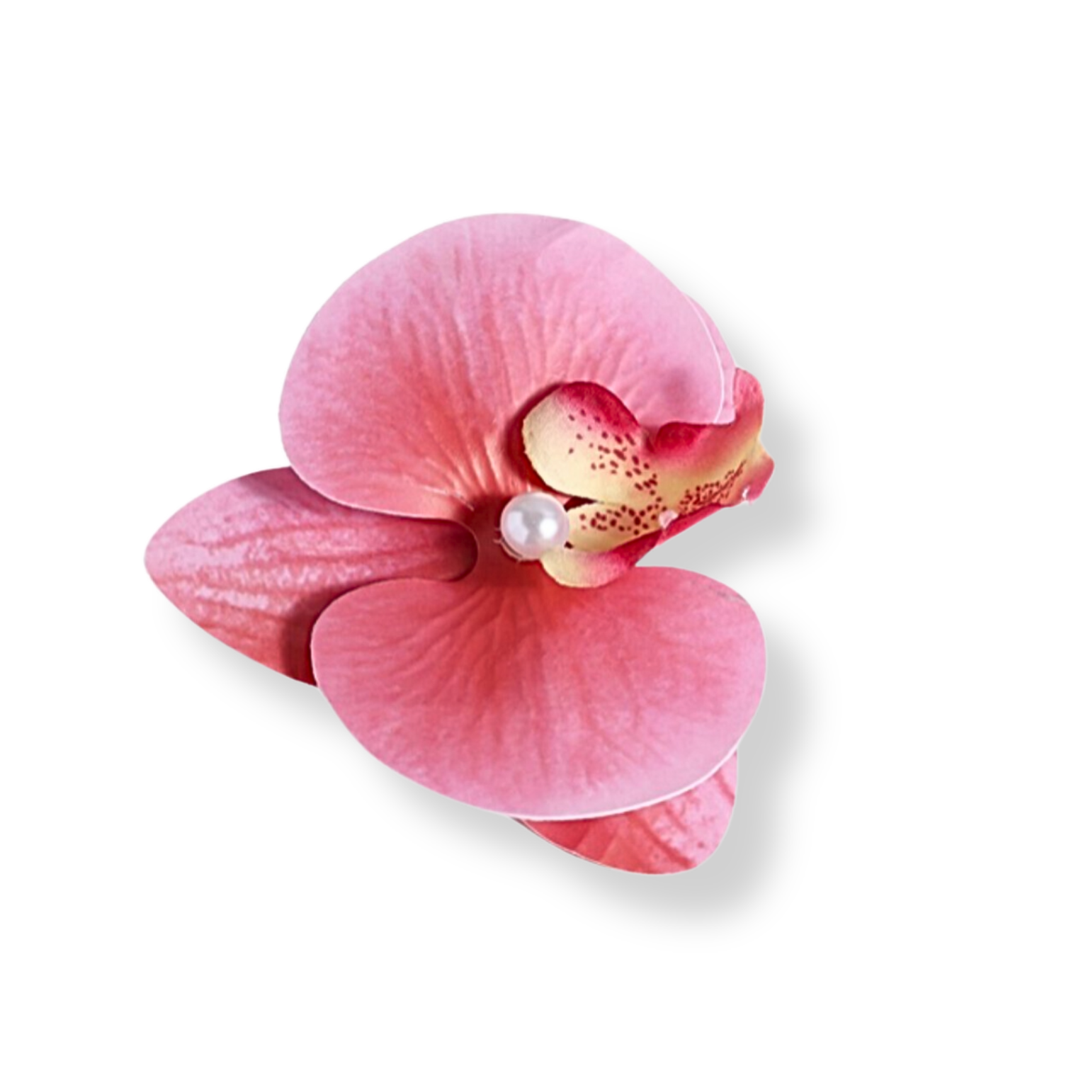 AEA2E08C-81AD-4EF9-AE4A-A4D184E87536.png