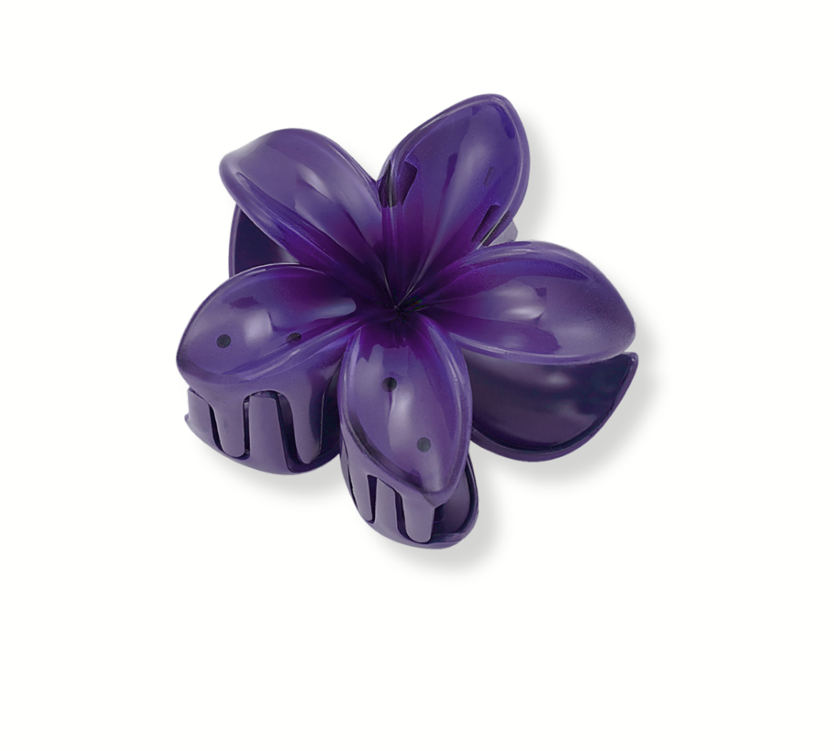 DesignohneTitel-2024-06-20T195958.440.png