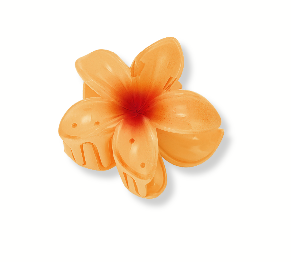 DesignohneTitel-2024-06-20T200054.352.png