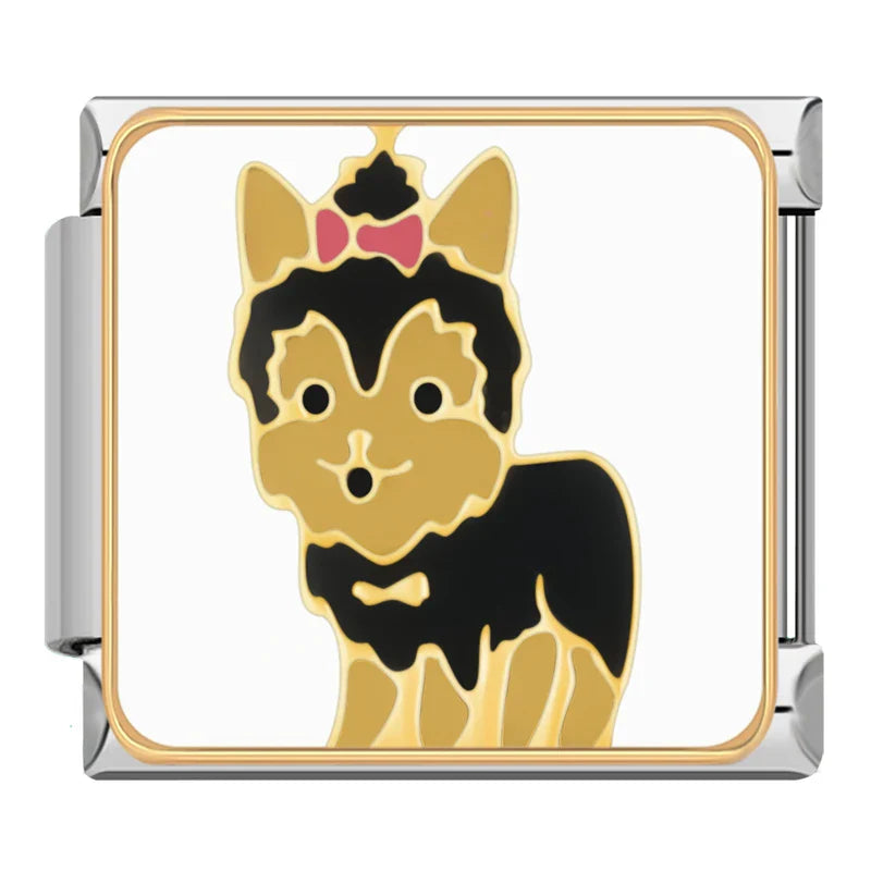 chiwawa- Italian Charm