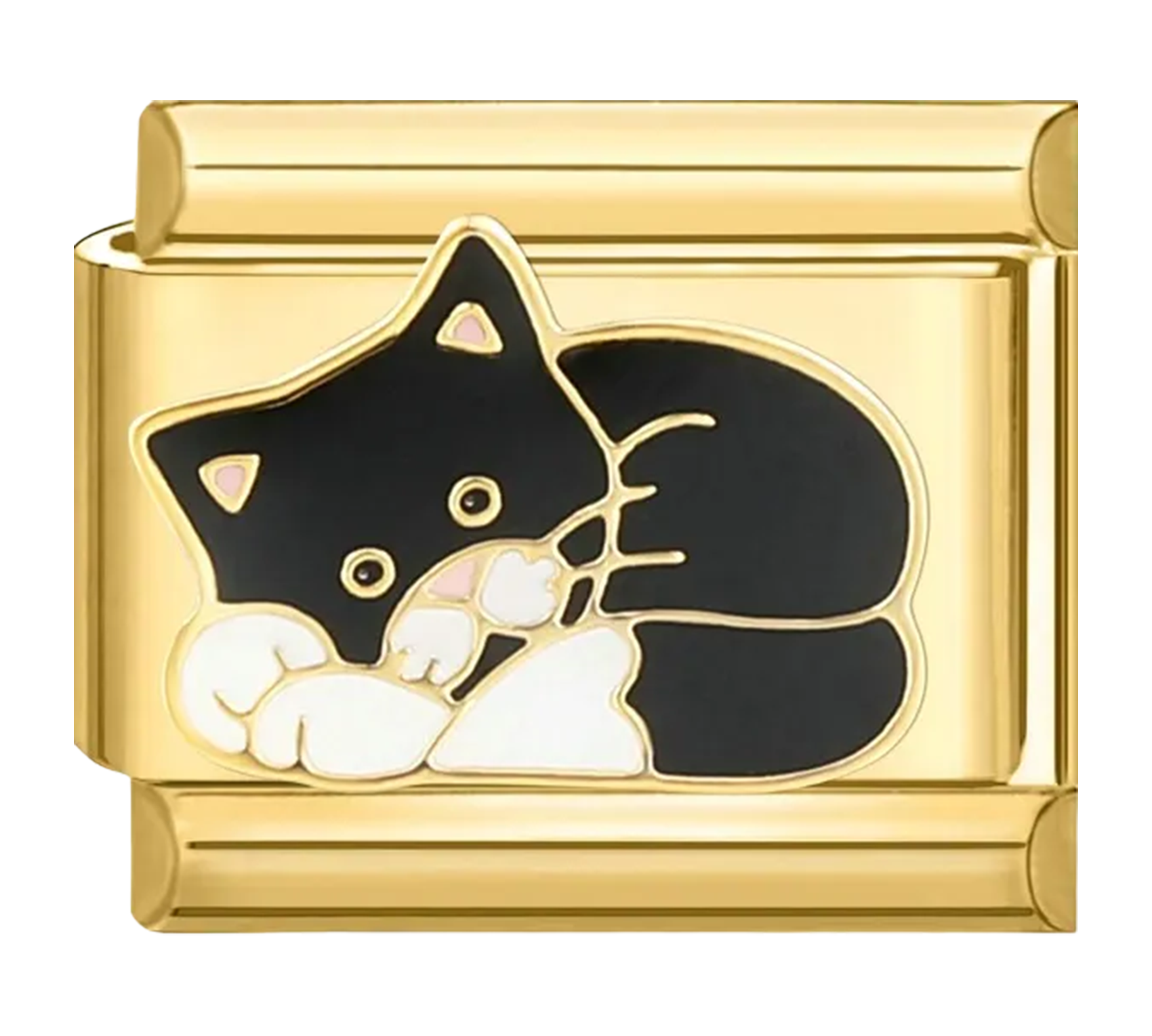 katze.png